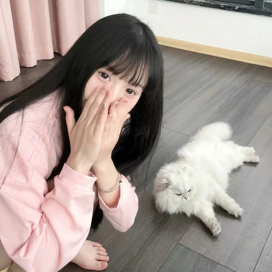 飞踢天使